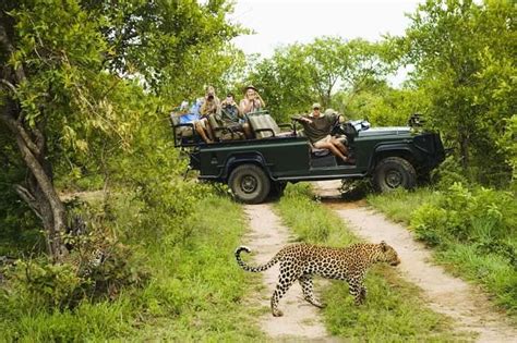 best safari south africa tripadvisor